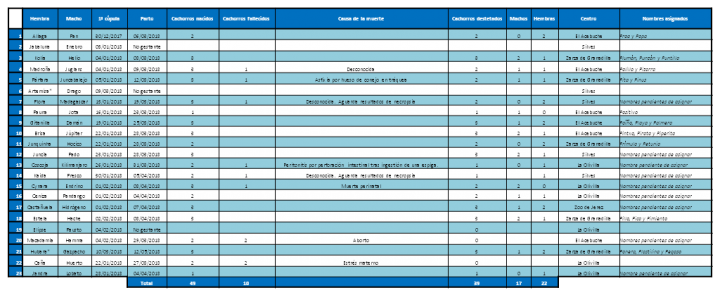 Tabla cachorros 2018